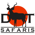 Dream Team Safari