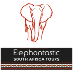 Elephantastic South Africa Tours