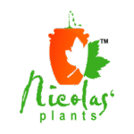 Nicolas Plants